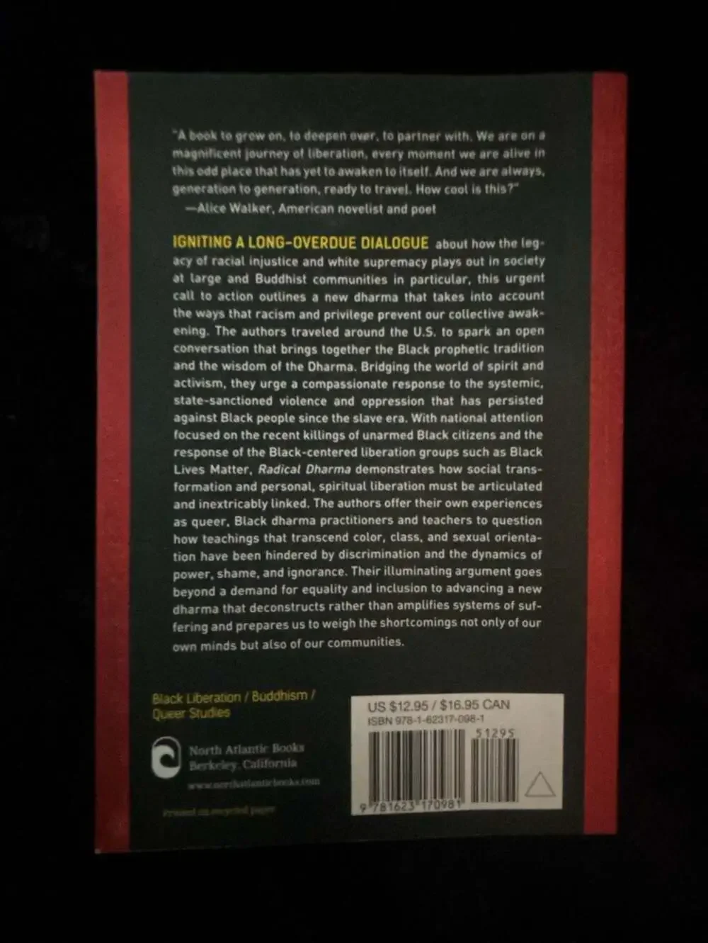 Radical Dharma: Talking Race, Love, and Liberation